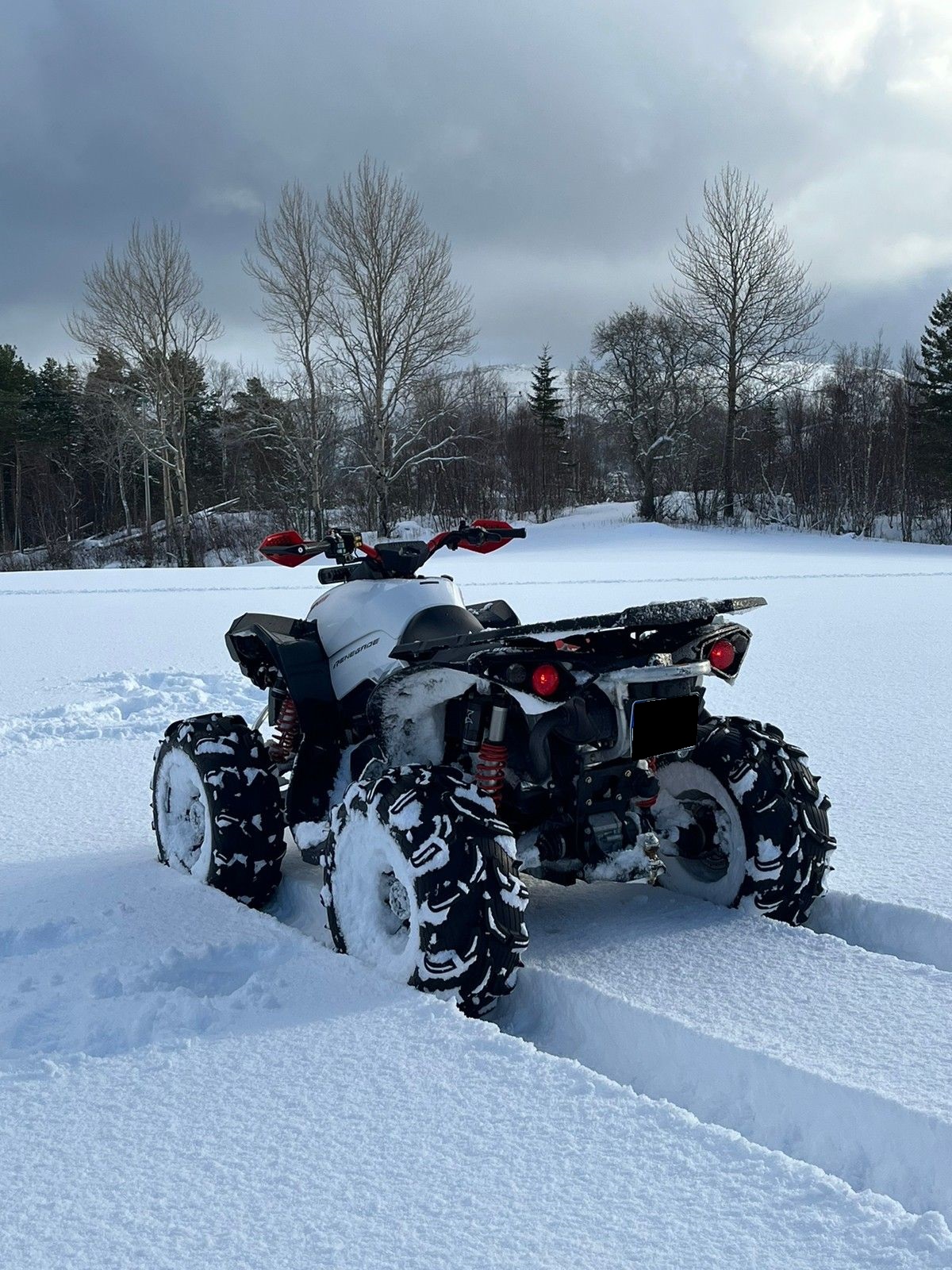 2018 Can-Am Renegade G2 650 - 3220km